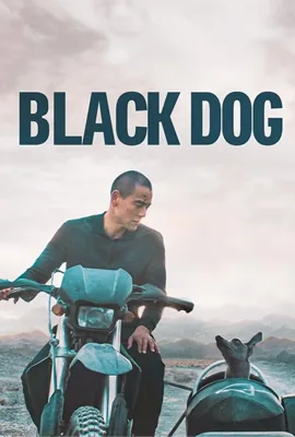 Black Dog (2024) สี่ขาหัวใจไม่ดำ